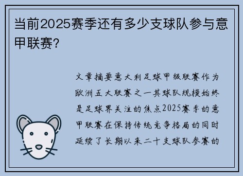 当前2025赛季还有多少支球队参与意甲联赛？
